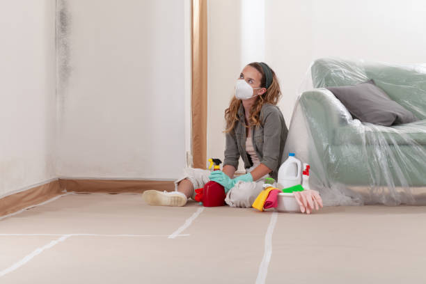 Reliable Mold Inspection contractor in Somerset, PA by WQB Mold Removal